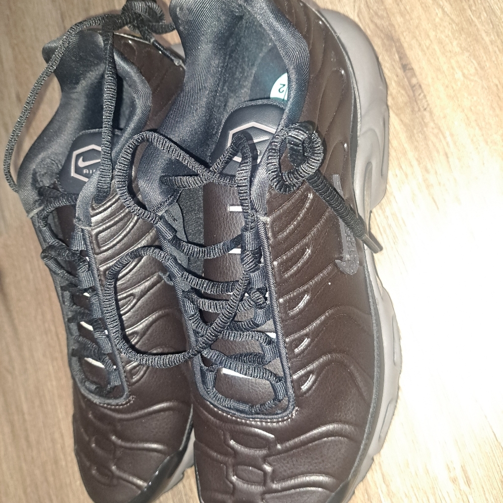 Nike Men's Air Max